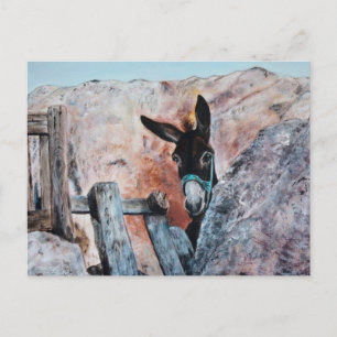 Donkeys Postkarte