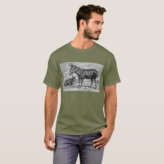 Donkeys T-Shirt (Vorne ganz)