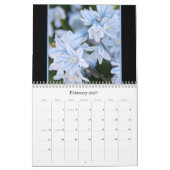 Donnas Blumen-Garten Kalender (Feb 2027)