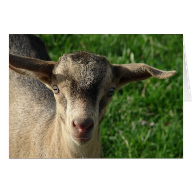 Donner (Vorderseite (Horizontal))