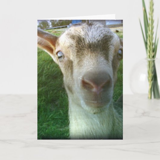 Donner Karte (Vorderseite)