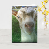 Donner Karte (Gelbe Blume)