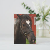 Donner-Pferdepostkarte Postkarte (Stehend Vorderseite)