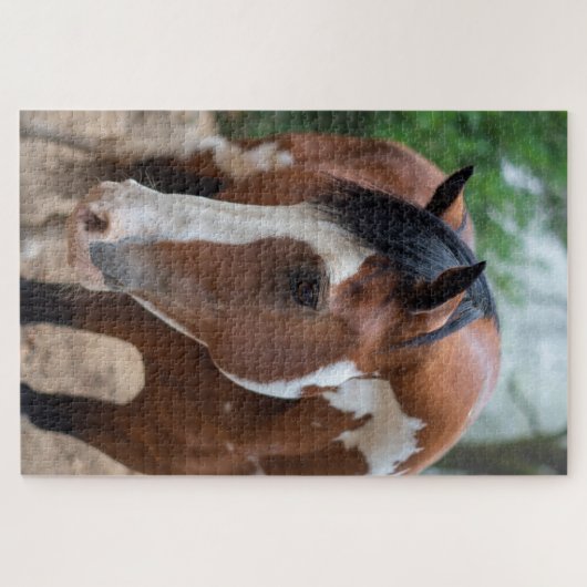 Donner-Pose Puzzle (Horizontal)