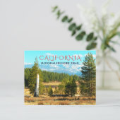 Donner Reed Campsite, Donner Lake, Kalifornien Postkarte (Stehend Vorderseite)