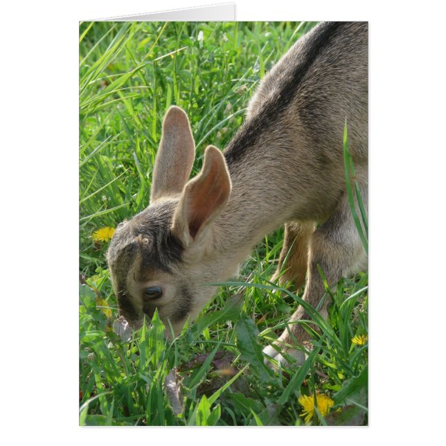 Donner versucht Gras auszurotten (Vorne)