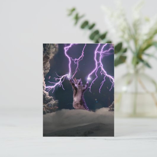 Donnerkatze Postkarte (Stehend Vorderseite)