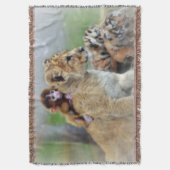 Donnerschlag/Affe und Tiger Decke (Vorderseite Vertikal)