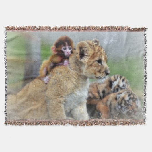 Donnerschlag/Affe und Tiger Decke (Vorderseite)