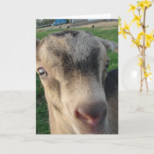 Donnerschlag Karte (Gelbe Blume)