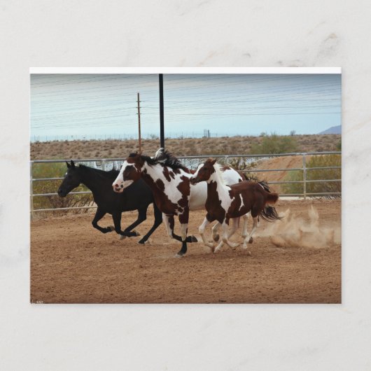 Donnersturm Postkarte (Vorderseite)