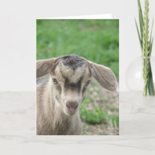 Donnerwetter bei einem Tag Karte