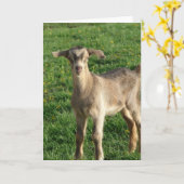 Donnerwetter in einer Woche Karte (Gelbe Blume)