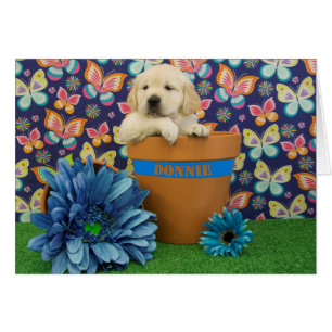 Donnie, Foto der Woche 5