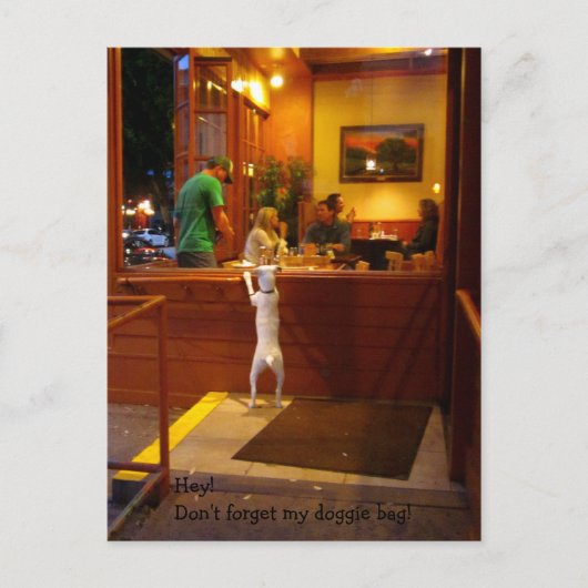 Don't Forget My Doggie Bag! Postkarte (Vorderseite)