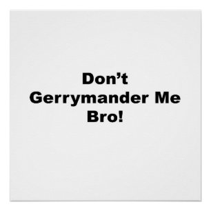 Don't Gerrymander Me Bro Protest Poster