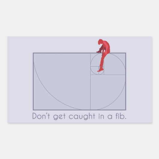 Don't get caught in a fib rechteckiger aufkleber (Vorderseite)