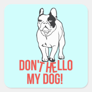 Don't hello my dog! quadratischer aufkleber