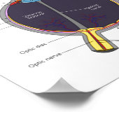 Dont Ke Me In The Eye Eye Anatomy Attitude  Poster (Ecke)