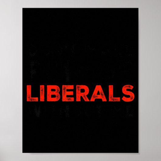 Don't Make Fun Of Liberals Without Me Funny Litica Poster (Vorne)