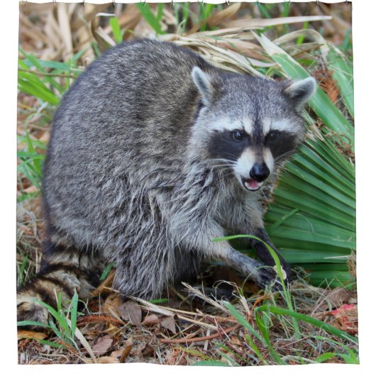 Don't Mind Me, Just Passing Through Duschvorhang (Vorderseite)