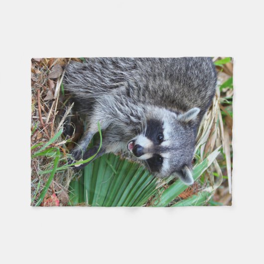 Don't Mind Me, Just Passing Through Fleecedecke (Vorderseite (Horizontal))