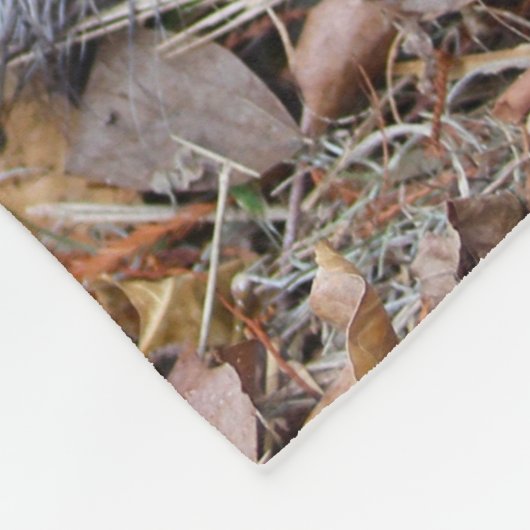 Don't Mind Me, Just Passing Through Fleecedecke (Ecke)