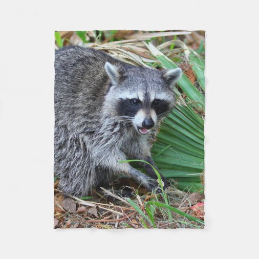 Don't Mind Me, Just Passing Through Fleecedecke (Vorderseite)