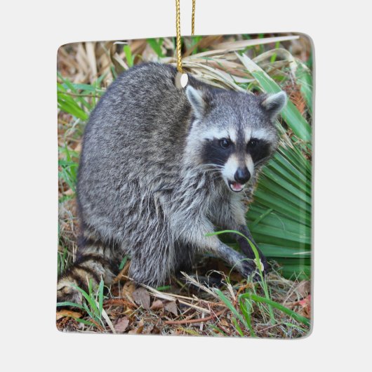 Don't Mind Me, Just Passing Through Keramikornament (Links)