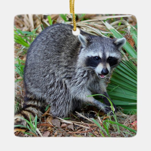 Don't Mind Me, Just Passing Through Keramikornament (Vorderseite)