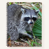 Don't Mind Me, Just Passing Through Notizblock (Vorderseite)