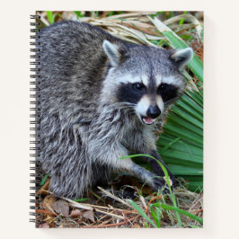 Don't Mind Me, Just Passing Through Notizblock