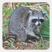 Don't Mind Me, Just Passing Through Quadratischer Aufkleber (Vorderseite)