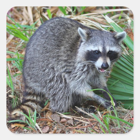 Don't Mind Me, Just Passing Through Quadratischer Aufkleber (Vorderseite)