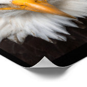 Dont Play With Angry Eagle  Poster (Ecke)