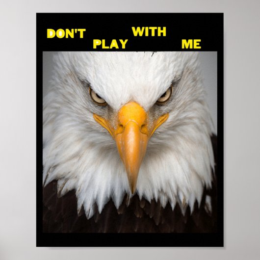 Dont Play With Angry Eagle  Poster (Vorne)