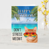 Dont Stress Meowt Funny Tabby Cat Happy Birthday Karte (Gelbe Blume)