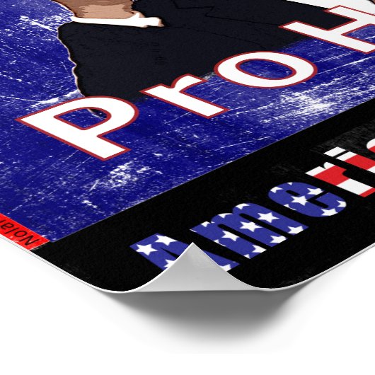 Don't Vote Pro Hate Campaign Poster (Ecke)