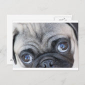 Doobie-Augen Postkarte (Vorne/Hinten)