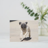 Doobie Runnin' Postkarte (Stehend Vorderseite)