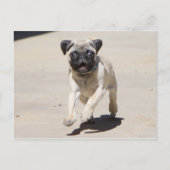 Doobie Runnin' Postkarte (Vorderseite)