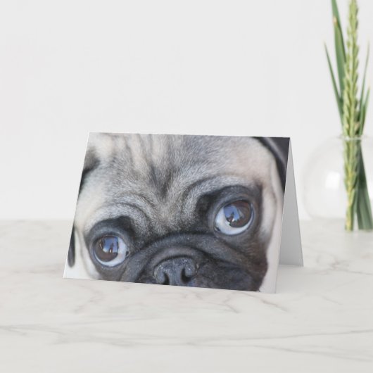 Doobies Augen Karte (Vorderseite)