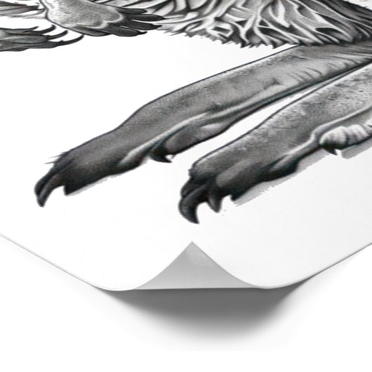 Doodle art Kangaroo Poster (Ecke)