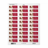 Doodle-Bogen-Foto karierte Rücksendeadresse (Vorne)