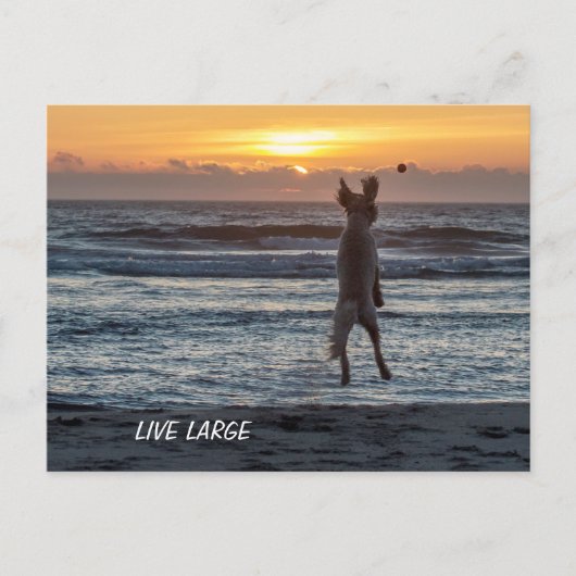 Doodle Days Comicen leben große Postkarte (Vorderseite)