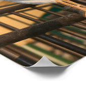 Doodle Do, Bantam Rooster Poster (Ecke)