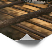 Doodle Do, Bantam Rooster Poster (Ecke)