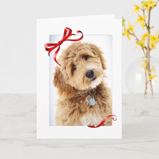 Doodle Dog Christmas Karte (Gelbe Blume)