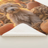 Doodle Doodle Sherpadecke (3/4)