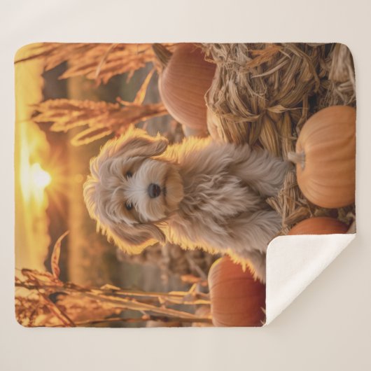 Doodle Doodle Sherpadecke (Vorderseite (Horizontal))